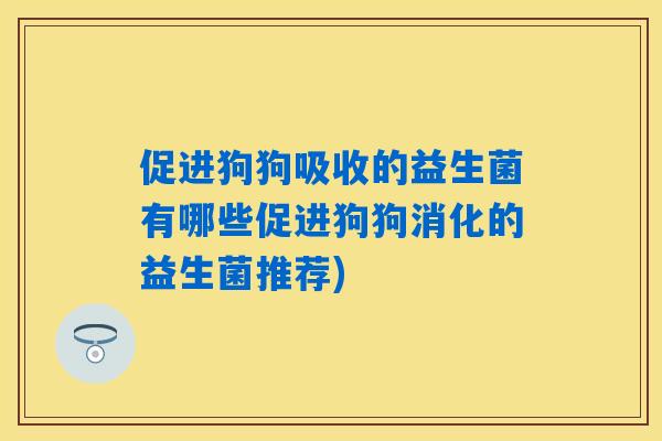 促进狗狗吸收的益生菌有哪些促进狗狗消化的益生菌推荐) 促进狗狗吸收的益生菌有哪些促进狗狗消化的益生菌推荐)