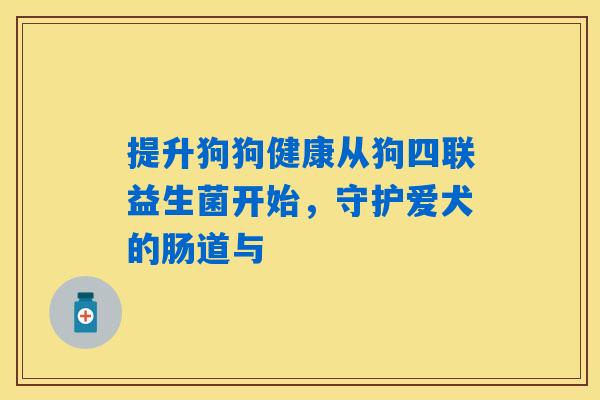提升狗狗健康从狗四联益生菌开始，守护爱犬的肠道与