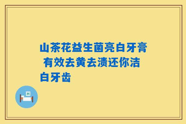 山茶花益生菌亮白牙膏 有效去黄去渍还你洁白牙齿 山茶花益生菌亮白牙膏 有效去黄去渍还你洁白牙齿