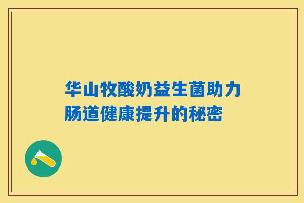 华山牧酸奶益生菌助力肠道健康提升的秘密