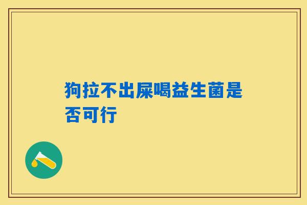 狗拉不出屎喝益生菌是否可行