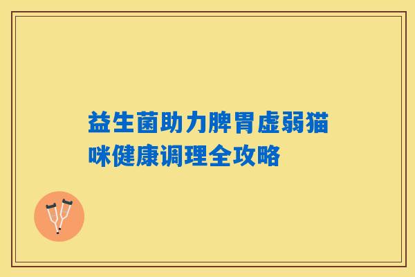 益生菌助力脾胃虚弱猫咪健康调理全攻略