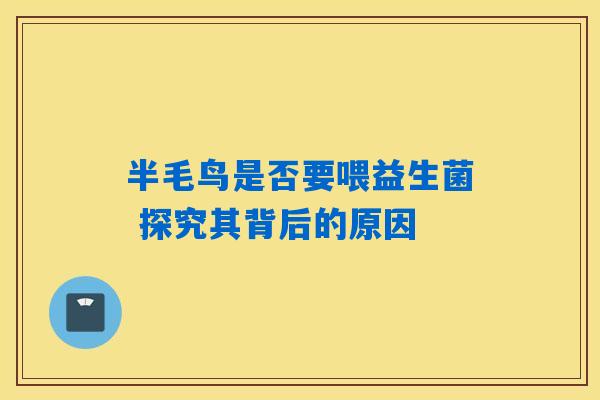 半毛鸟是否要喂益生菌 探究其背后的原因 半毛鸟是否要喂益生菌 探究其背后的原因