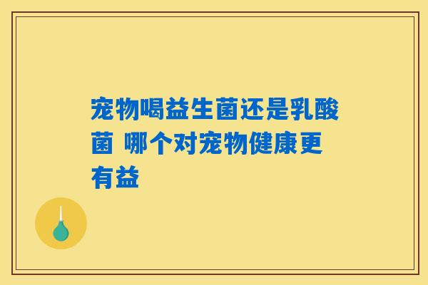 宠物喝益生菌还是乳酸菌 哪个对宠物健康更有益