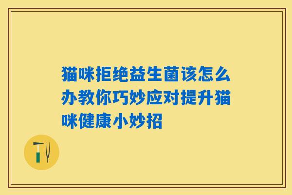 猫咪拒绝益生菌该怎么办教你巧妙应对提升猫咪健康小妙招