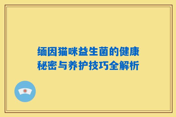 缅因猫咪益生菌的健康秘密与养护技巧全解析