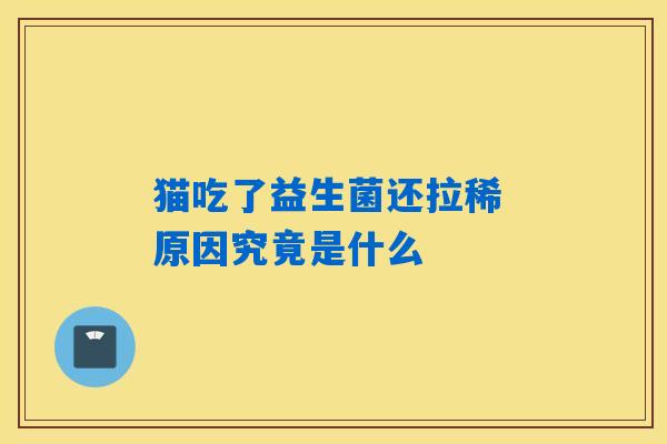 猫吃了益生菌还拉稀 原因究竟是什么