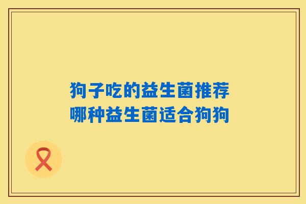 狗子吃的益生菌推荐 哪种益生菌适合狗狗