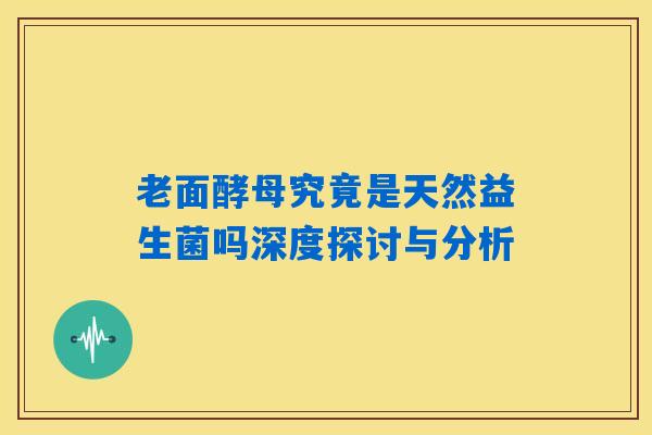 老面酵母究竟是天然益生菌吗深度探讨与分析