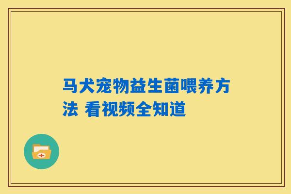 马犬宠物益生菌喂养方法 看视频全知道