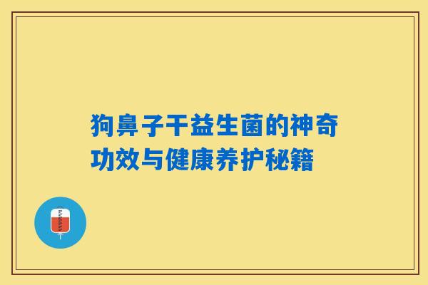狗鼻子干益生菌的神奇功效与健康养护秘籍 狗鼻子干益生菌的神奇功效与健康养护秘籍