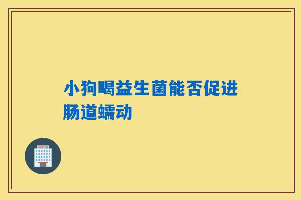 小狗喝益生菌能否促进肠道蠕动