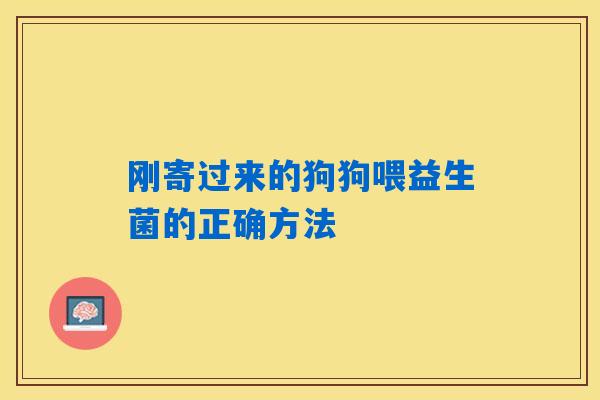刚寄过来的狗狗喂益生菌的正确方法
