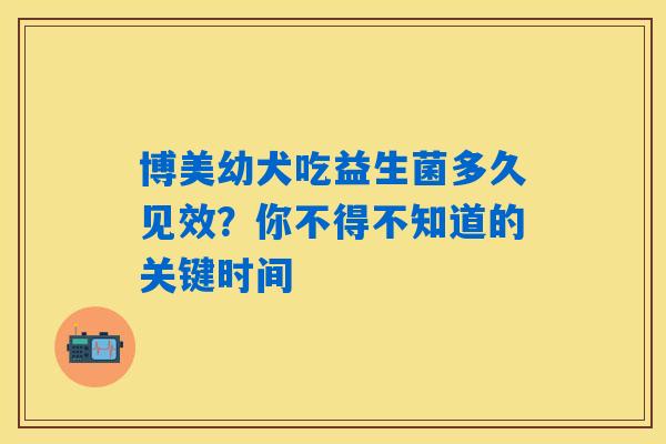 博美幼犬吃益生菌多久见效?你不得不知道的关键时间 博美幼犬吃益生菌多久见效?你不得不知道的关键时间