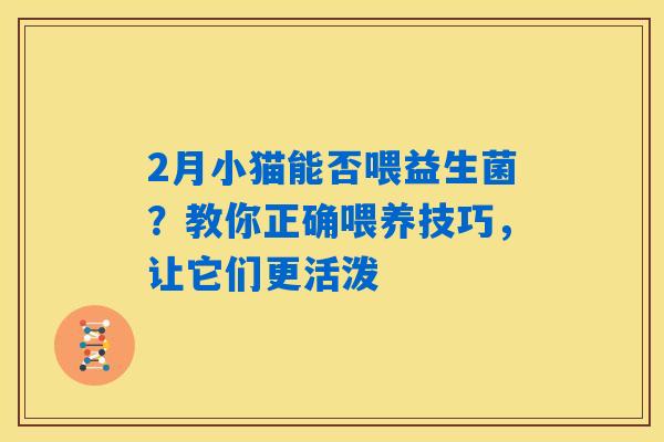 2月小猫能否喂益生菌？教你正确喂养技巧，让它们更活泼