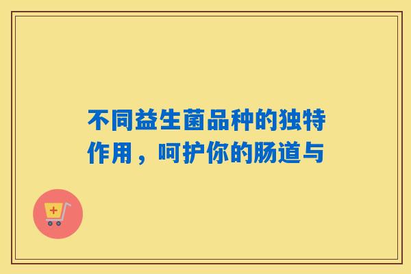不同益生菌品种的独特作用，呵护你的肠道与
