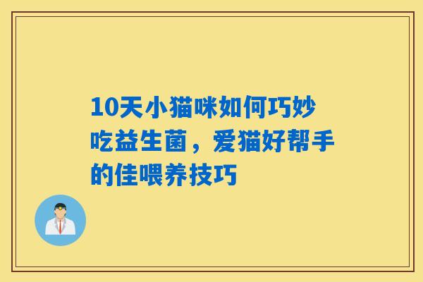 10天小猫咪如何巧妙吃益生菌，爱猫好帮手的佳喂养技巧