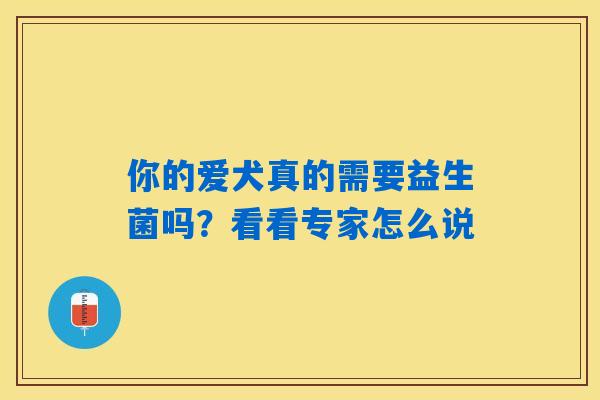 你的爱犬真的需要益生菌吗？看看专家怎么说