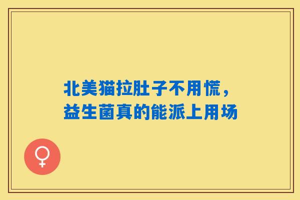北美猫拉肚子不用慌，益生菌真的能派上用场
