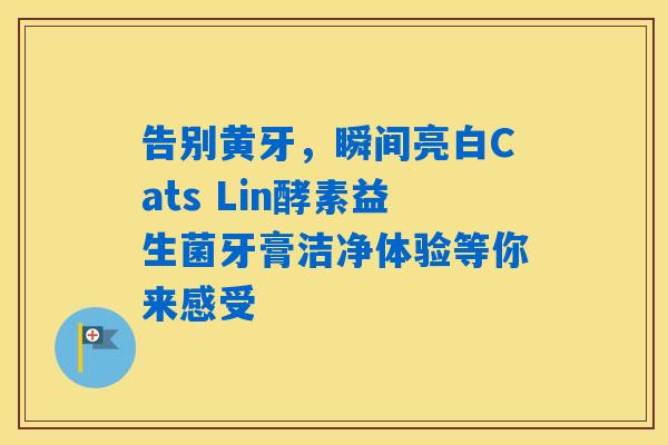 告别黄牙，瞬间亮白Cats Lin酵素益生菌牙膏洁净体验等你来感受