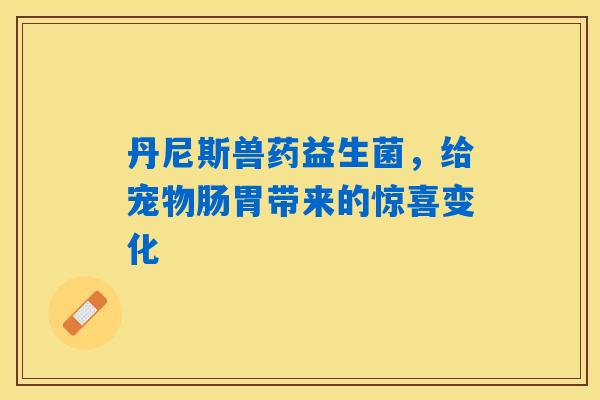 丹尼斯兽药益生菌，给宠物肠胃带来的惊喜变化