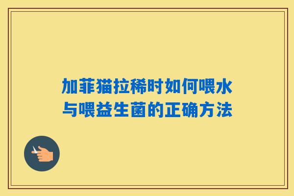 加菲猫拉稀时如何喂水与喂益生菌的正确方法