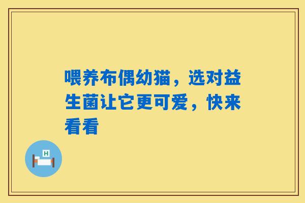 喂养布偶幼猫，选对益生菌让它更可爱，快来看看