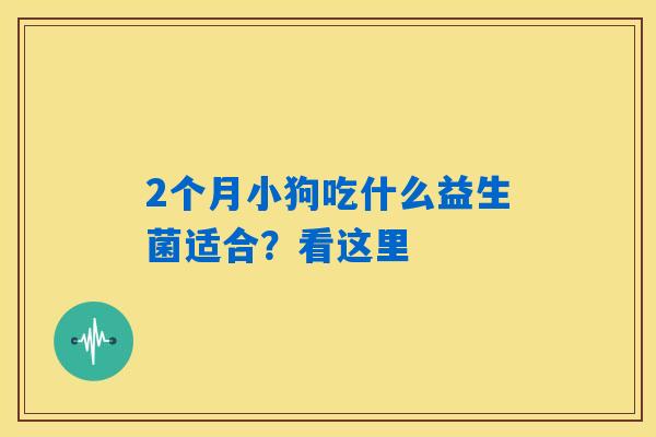 2个月小狗吃什么益生菌适合？看这里