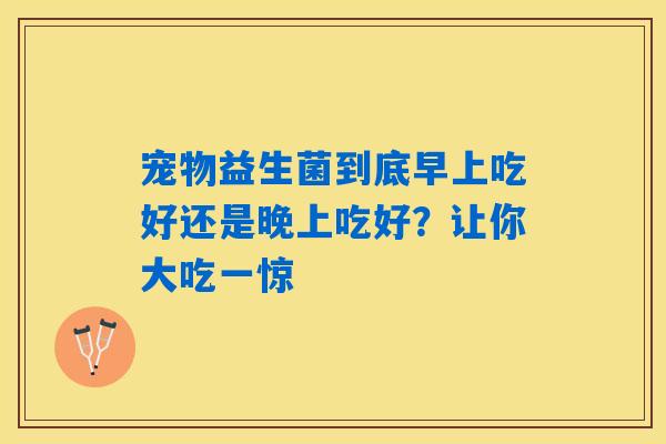 宠物益生菌到底早上吃好还是晚上吃好？让你大吃一惊