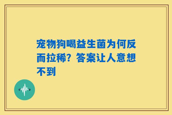 宠物狗喝益生菌为何反而拉稀？答案让人意想不到