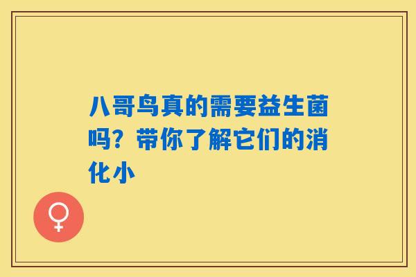 八哥鸟真的需要益生菌吗？带你了解它们的消化小