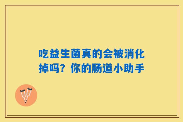 吃益生菌真的会被消化掉吗？你的肠道小助手