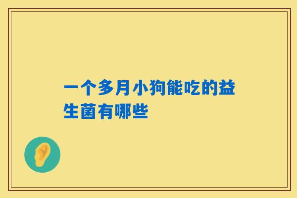 一个多月小狗能吃的益生菌有哪些 一个多月小狗能吃的益生菌有哪些