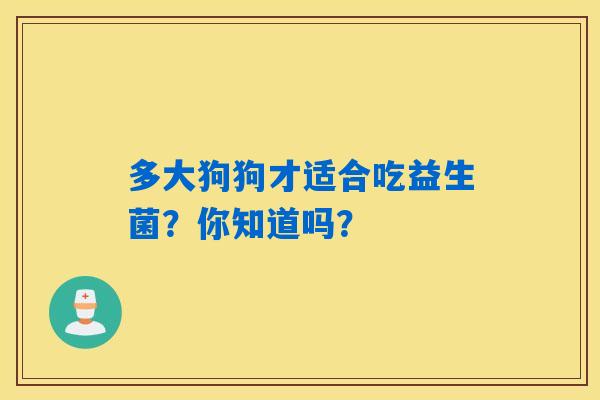 多大狗狗才适合吃益生菌？你知道吗？