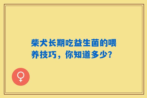 柴犬长期吃益生菌的喂养技巧，你知道多少？