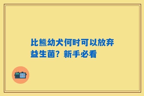 比熊幼犬何时可以放弃益生菌？新手必看