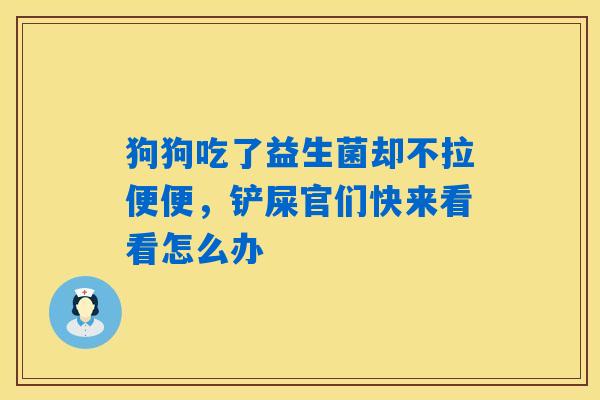狗狗吃了益生菌却不拉便便，铲屎官们快来看看怎么办