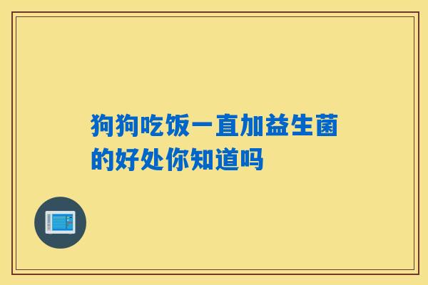 狗狗吃饭一直加益生菌的好处你知道吗