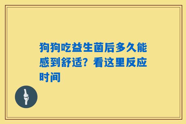 狗狗吃益生菌后多久能感到舒适？看这里反应时间