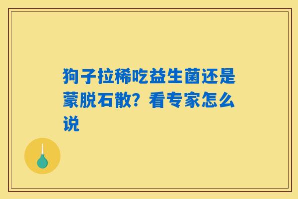狗子拉稀吃益生菌还是蒙脱石散?看专家怎么说 狗子拉稀吃益生菌还是蒙脱石散?看专家怎么说