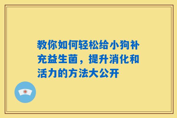 教你如何轻松给小狗补充益生菌,提升消化和活力的方法大公开 教你如何轻松给小狗补充益生菌,提升消化和活力的方法大公开
