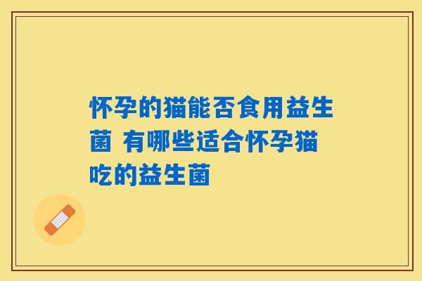 怀孕的猫能否食用益生菌 有哪些适合怀孕猫吃的益生菌