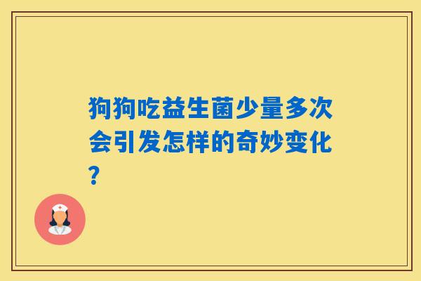 狗狗吃益生菌少量多次会引发怎样的奇妙变化？