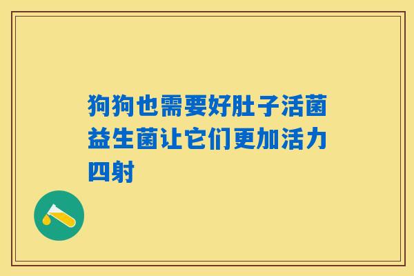 狗狗也需要好肚子活菌益生菌让它们更加活力四射