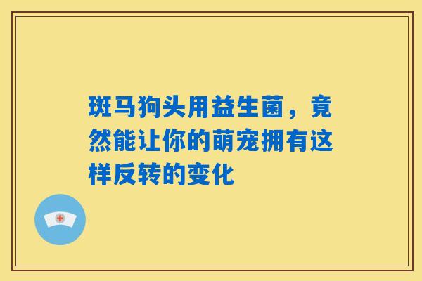 斑马狗头用益生菌，竟然能让你的萌宠拥有这样反转的变化