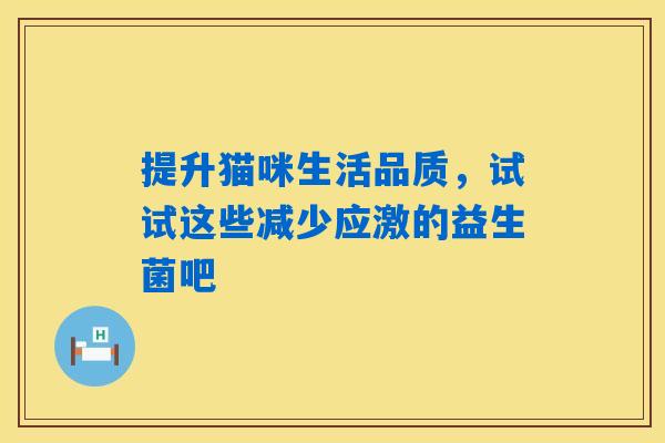 提升猫咪生活品质，试试这些减少应激的益生菌吧