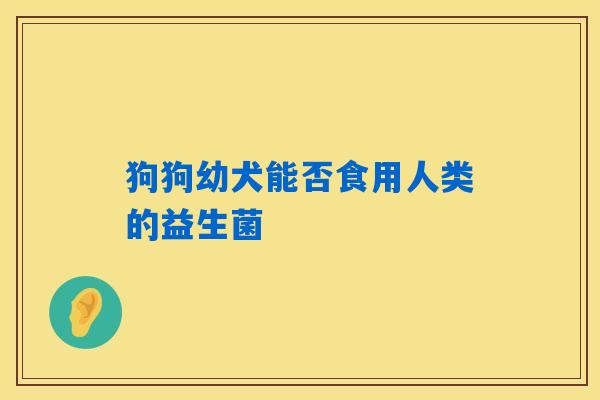 狗狗幼犬能否食用人类的益生菌