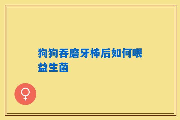 狗狗吞磨牙棒后如何喂益生菌