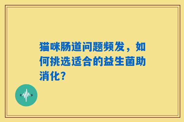 猫咪肠道问题频发，如何挑选适合的益生菌助消化？