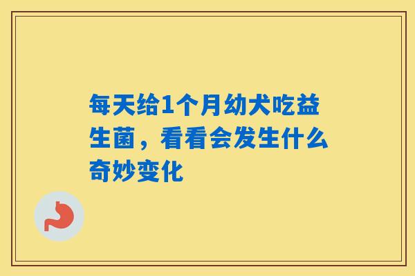 每天给1个月幼犬吃益生菌，看看会发生什么奇妙变化